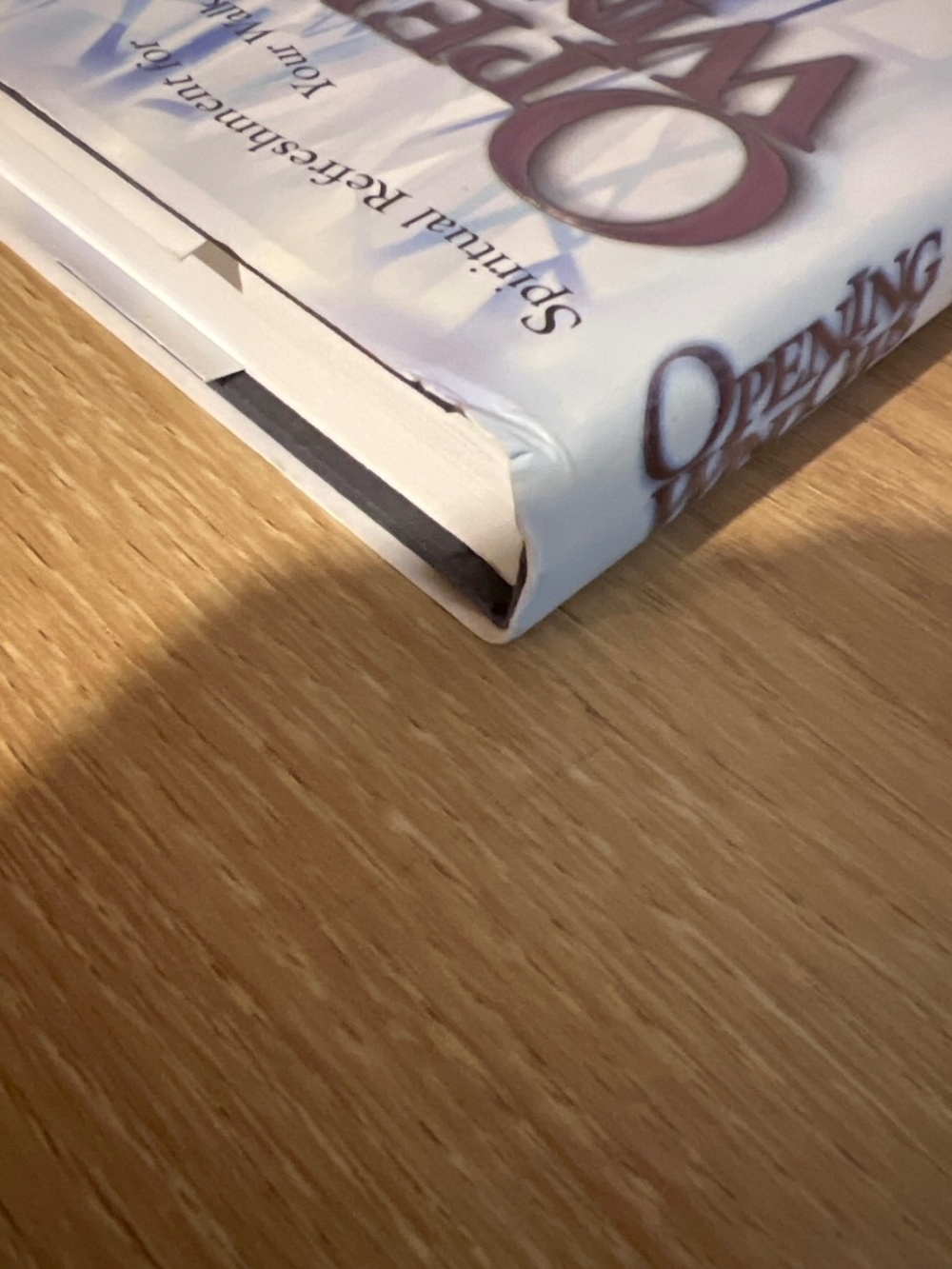 Opening Windows Book - Picture 5 of 7